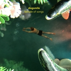 Dogsmile - Temple Of Songs in the group VINYL / Pop-Rock,Svensk Folkmusik at Bengans Skivbutik AB (5511159)