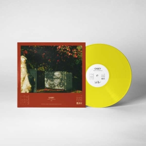 Casey - How To Disappear (Transparent Yello in the group VINYL / Pop-Rock at Bengans Skivbutik AB (5511302)