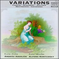 Various - Variations in the group CD / Klassiskt at Bengans Skivbutik AB (5511533)