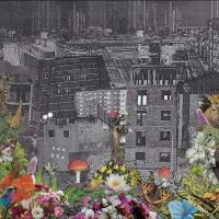 Bloody Head - Perpetual Eden in the group VINYL / Pop-Rock at Bengans Skivbutik AB (5513107)