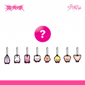 Stray Kids - Star Skzoo Random Keyring in the group OTHER /  /  at Bengans Skivbutik AB (5513208)