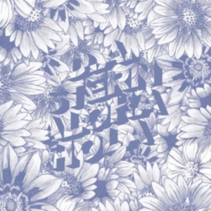 Stern D.A. - Aloha Hola in the group OTHER / Övrigt /  at Bengans Skivbutik AB (5513379)