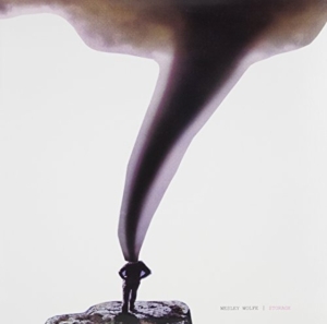 Wolfe Wesley - Storage in the group VINYL / Pop-Rock at Bengans Skivbutik AB (5513698)