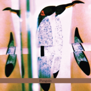 Cohen-Milo Haggai - Penguin in the group OTHER / Övrigt /  at Bengans Skivbutik AB (5513896)