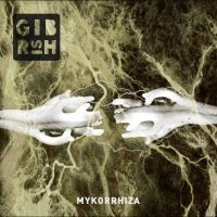 Gibrish - Mykorrhiza in the group OUR PICKS / Friday Releases / Friday The 9th February 2024 at Bengans Skivbutik AB (5513984)