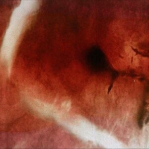 Angles & Elle-Kari With Strings - The Death Of Kalypso in the group VINYL / Jazz at Bengans Skivbutik AB (5514471)