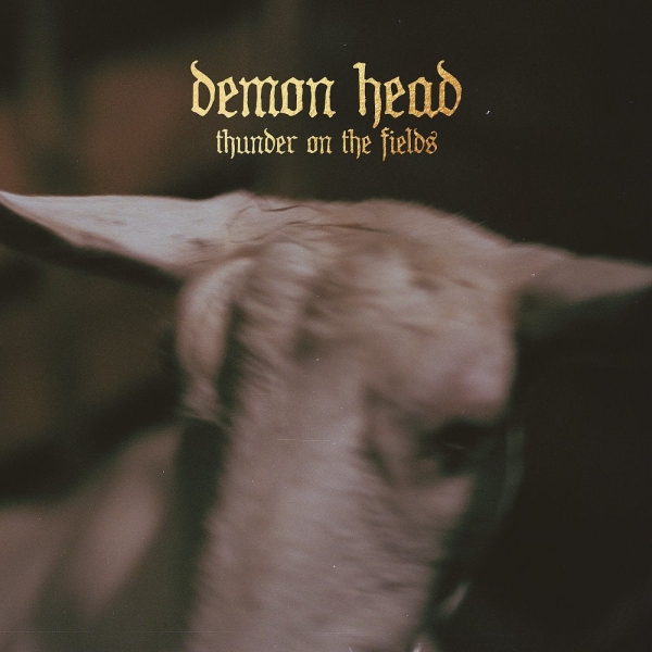 Demon Head - Thunder On The Fields Lp Gold in the group VINYL / Pop-Rock at Bengans Skivbutik AB (5515229)