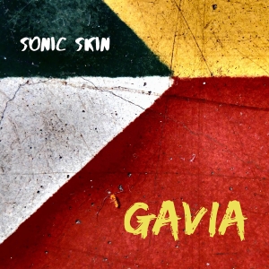 Sonic Skin - Gavia in the group CD / Klassiskt at Bengans Skivbutik AB (5515311)