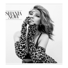 Shania Twain - Now in the group CD / Country,Pop-Rock at Bengans Skivbutik AB (5515388)