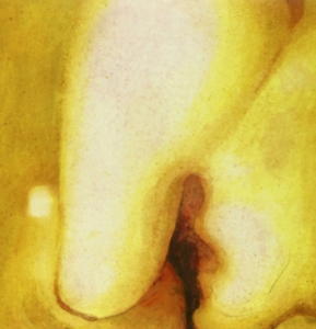 Smashing Pumpkins - Pisces Iscariot in the group Labels /  at Bengans Skivbutik AB (5515670)