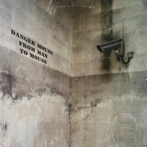 Danger Mouse - From Man To Mouse (Bansky Sleeve) in the group OTHER / CDV06 at Bengans Skivbutik AB (5515682)