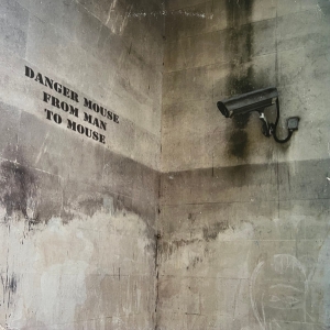 Danger Mouse - From Man To Mouse (Bansky Sleeve) in the group Labels /  at Bengans Skivbutik AB (5515682)