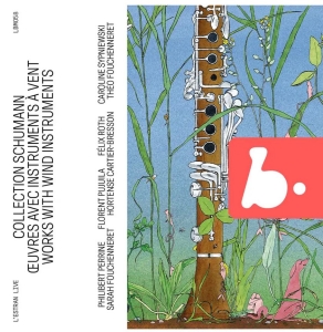 Schumann Robert - Schumann Collection - Works With Wi in the group CD / Klassiskt at Bengans Skivbutik AB (5515720)