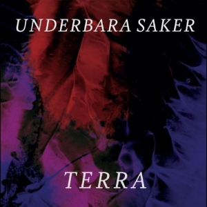 Terra - Underbara Saker in the group VINYL / Pop-Rock at Bengans Skivbutik AB (5516025)