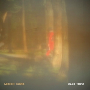 Melech / Kurek - Walk Thru in the group CD / Jazz at Bengans Skivbutik AB (5516401)