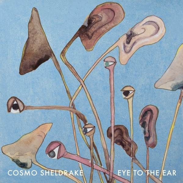 Cosmo Sheldrake - Eye To The Ear in the group VINYL / Pop-Rock at Bengans Skivbutik AB (5516449)