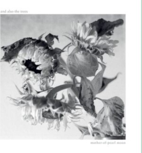 And Also The Trees - Mother-Of-Pearl Moon in the group OUR PICKS / Friday Releases / Friday The 23rd Of February 2024 at Bengans Skivbutik AB (5516777)