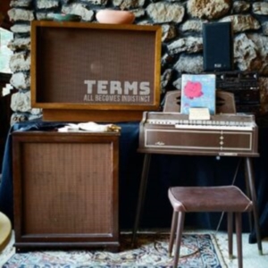 Terms - All Becomes  Indistinct in the group OTHER / Övrigt /  at Bengans Skivbutik AB (5516993)