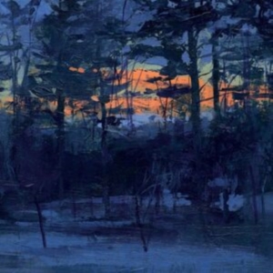 Animal Hospital - Shelf Life in the group OTHER / Övrigt / at Bengans Skivbutik AB (5516997)