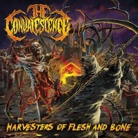 The Convalescence - Harvesters Of Flesh And Bone in the group OUR PICKS / Friday Releases / Friday the 1st of Mars 2024 at Bengans Skivbutik AB (5517441)