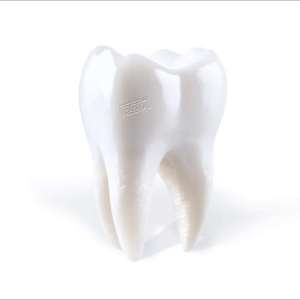 Porij - Teething in the group CD / Pop-Rock at Bengans Skivbutik AB (5517473)