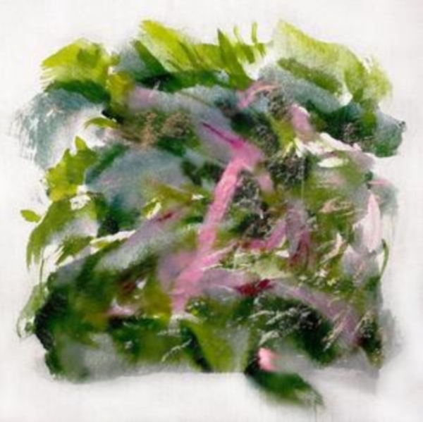 Mizu - Forest Scenes (Color-In-Color Light in the group VINYL / Pop-Rock at Bengans Skivbutik AB (5517713)