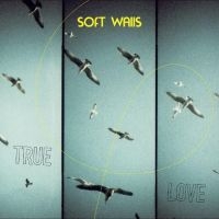 Soft Walls - True Love in the group OUR PICKS / Friday Releases / Friday the 1st of Mars 2024 at Bengans Skivbutik AB (5517800)