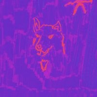 Dehd - Poetry in the group OTHER / Forthcoming products - 10 percent at Bengans Skivbutik AB (5518017)
