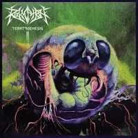 Revocation - Teratogenesis (Reissue) in the group OUR PICKS / Friday Releases / Friday The 9th February 2024 at Bengans Skivbutik AB (5518019)