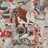 Yobrepus - A Rhizome Revolution Part 1 in the group OUR PICKS / Frontpage - CD New & Forthcoming at Bengans Skivbutik AB (5518131)