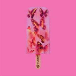 James - Yummy (Cd Deluxe) in the group OTHER / Övrigt /  at Bengans Skivbutik AB (5518291)