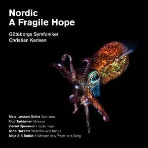 Göteborgs Symfoniker - Nordic - A Fragile Hope in the group OUR PICKS / Friday Releases / Friday The 23rd Of February 2024 at Bengans Skivbutik AB (5518388)