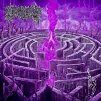 Civerous - Maze Envy (Purple/Magenta Vinyl Lp) in the group OTHER / Forthcoming products - 10 percent at Bengans Skivbutik AB (5518435)