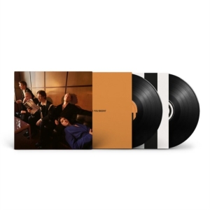 Giant Rooks - How Have You Been? (2Lp) in the group VINYL / Pop-Rock at Bengans Skivbutik AB (5518452)