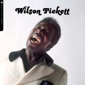 Wilson Pickett - Now Playing in the group VINYL / RnB-Soul at Bengans Skivbutik AB (5518546)
