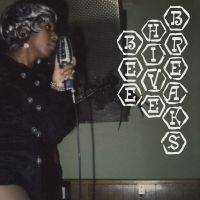 Various Artists - Beehive Breaks in the group OTHER / Forthcoming products - 10 percent at Bengans Skivbutik AB (5518860)