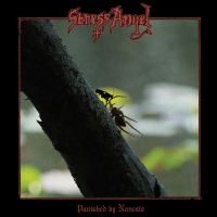 Stress Angel - Punished By Nemesis in the group OUR PICKS / Frontpage - Vinyl New & Forthcoming at Bengans Skivbutik AB (5518968)