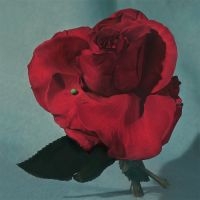 Metz - Up On Gravity Hill (Loser Edition Yellow Vinyl) in the group OUR PICKS / Year-end best lists 2024 / Year’s best Alex at Bengans Skivbutik AB (5519558)