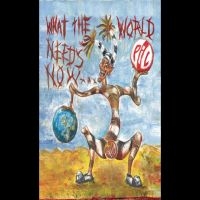 Public Image Limited - What The World Needs Now in the group Pop-Rock,Punk at Bengans Skivbutik AB (5519789)