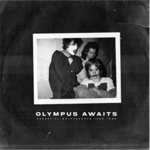 Malfunkshun - Olympus Awaits (Neon Purple Vinyl/2Lp) (Rsd) - IMPORT in the group VINYL / Pop-Rock at Bengans Skivbutik AB (5520073)