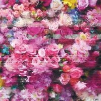 Bersarin Quartett - Systeme in the group OTHER / Forthcoming products - 10 percent at Bengans Skivbutik AB (5520616)