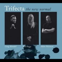 Trifecta - The New Normal in the group OUR PICKS / Friday Releases / Friday the 5th of April 2024 at Bengans Skivbutik AB (5521159)