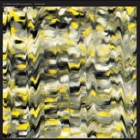 White Jim And Marisa Anderson - Swallowtail in the group VINYL / Svensk Folkmusik at Bengans Skivbutik AB (5521675)