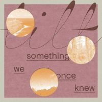 Tilt - Something We Once Knew in the group OUR PICKS / Friday Releases / Friday the 3rd of May 2024 at Bengans Skivbutik AB (5521929)