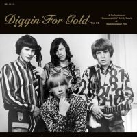 Various Artists - Diggin' For Gold Vol. 14 in the group VINYL / Norsk Musik,Pop-Rock,Samlingar at Bengans Skivbutik AB (5522114)