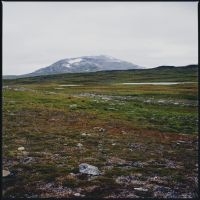 Gidge - Tundra in the group OUR PICKS / Frontpage - Vinyl New & Forthcoming at Bengans Skivbutik AB (5522254)