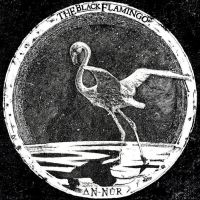 Black Flamingo The - An?-?N?Û?R in the group OUR PICKS / Frontpage - Vinyl New & Forthcoming at Bengans Skivbutik AB (5522468)