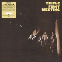 Trifle - First Meeting in the group OUR PICKS / Frontpage - Vinyl New & Forthcoming at Bengans Skivbutik AB (5522479)