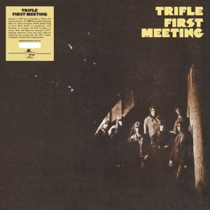 Trifle - First Meeting in the group VINYL / Pop-Rock at Bengans Skivbutik AB (5522479)