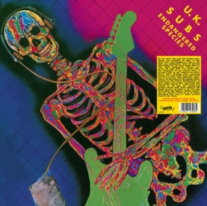 U.K. Subs - Endangered Species (Pink Vinyl Lp) in the group VINYL / Pop-Rock at Bengans Skivbutik AB (5522486)